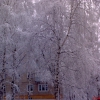 Зима в Алапаевске. Автор: pistrakisha