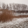 На реке зимой. Автор: Aleksandr Bitutskiy