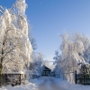 Зима в Боровичах. Автор: Andan