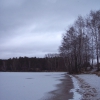 Первый лёд на оз.Еловое. Автор: Pavel Murdassov