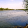 Река Большая Уссурка. Автор: volik-viktor