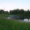 Данилов небольшое озеро. Автор: yellowvito
