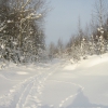 Гремячинск, лыжня в посёлке Южном. Автор: Surveyour
