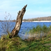 Городское озеро, Гусь-Хрустальный. Автор: A.Anatolich