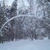 Лес зима 09.02.11. Автор: Froda_mc