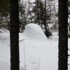 Муравейник под снегом. Автор: Антон Щербаков