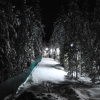 Ночной зимний лес   ~SAG~. Автор: Антон Щербаков