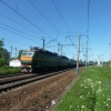 Поезд на участке Абрамцево-Хотьково. Автор: beralexandra