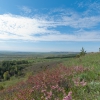 Миндальная полянка в горах. Автор: Sergey Petrov2014
