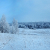 Зимний лес возле пос. Термень-Елга. Автор: Tsibin Konstantin
