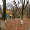 Осень в городском парке, 2013. Автор: Andre Kurka