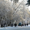 Зима в Каменногорске. Автор: rexex
