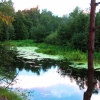 Klyazma river - Клязьма. Автор: ShulDash