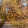 Тропинка в Барятинском парке. Автор: Сухаревс
