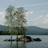 Берёзы на озере Тургояк / Birches on Lake Turgoyak. Автор: Alexander Sapozhnikov