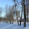 Городской парк зимой. Автор: Eugraph