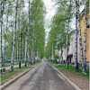 Весна на улицах Нелидово. Автор: LValentin