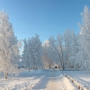Зимой 2011 года в Нижневартовске ***. Автор: Евгений Мишаков