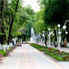 Городской парк. Автор: Vyacheslav Leksin