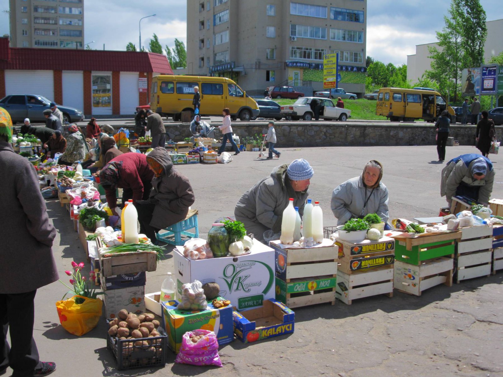 Фото девушки нововоронежа