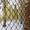 Вид из окна руин Вознесенской церкви. Автор: Dmitriy Zonov