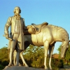 Памятник П.Палласу. Автор: Vlad8