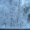 14.10.07_Первый снег_Вид из окна. Автор: Alla Gorokhova