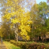 Осень. Автор: volchik