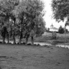 Порхов. Церковь на том берегу. 07/1956г. Автор: sitnikov