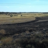 Брошенное, выгоревшее, заболоченное поле, 2010 г. Автор: B@R|)@NO\/