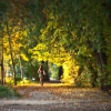 Тоннель в осень / The tunnel into autumn. Автор: Surickoff