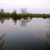 Кирпичный пруд на закате. Автор: Ivanov-Vodkin