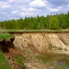 лесной массив Бездушный куст. Автор: Ivanov-Vodkin