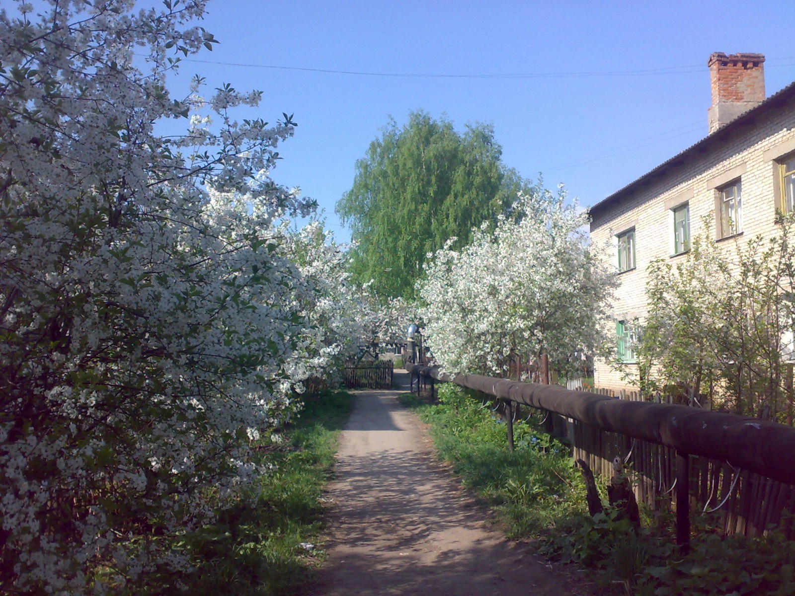 рыбное достопримечательности