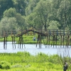 Мостик через реку Теза. Автор: Пиголкин Сергей