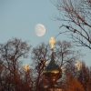 Осень. Пейзаж с луной. Автор: Пиголкин Сергей