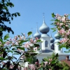 Воскресенский собор в цветах. Автор: Пиголкин Сергей