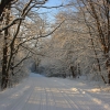 Road in the winter.- Дорога зимой. Автор: VICTOR 60