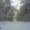 Первый снег! (First Snow! 22 Nov., 2008). Автор: Slepow Alexandr