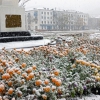 Первый снег.Главная площадь. Автор: Семенов Александр