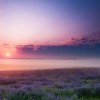 Рассвет в море тумана. Автор: Дмитрий Яськин