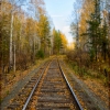 Железная дорога через лес. Автор: EugeneOst