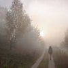 Туман. Автор: Михаил Курцев
