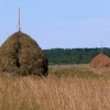 Vytegorskiy hayfields / Вытегорские сенокосы. Автор: Sergey Kreps