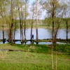 Весна на Кривом озере. Автор: pauk55