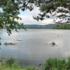 Железногорское озеро в июле. Автор: Zve®ling